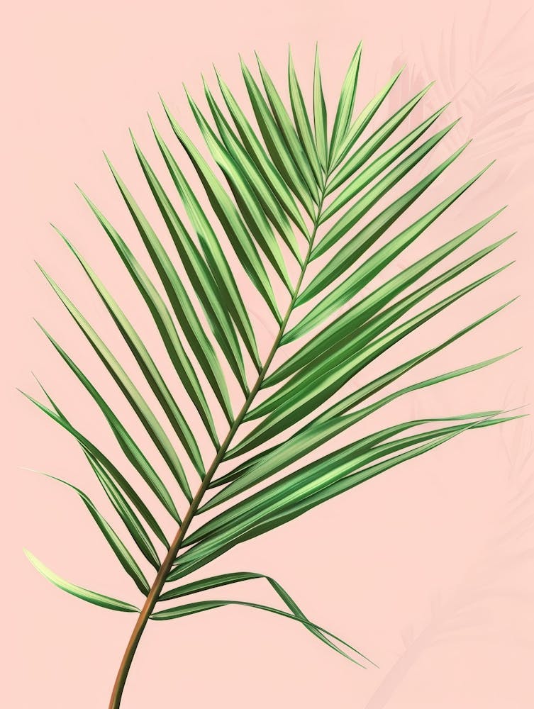 Palm Leaf On A Pink Background