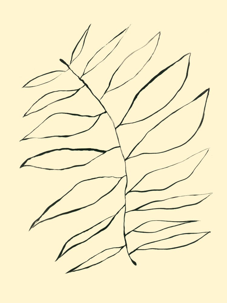 Fern Leaf
