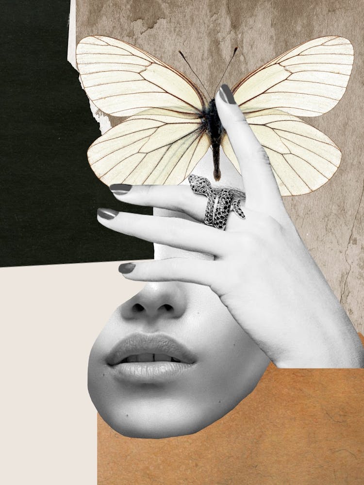 Collage Art Butterfly 2