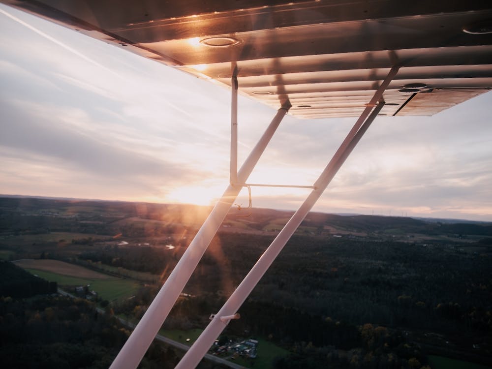 Sunset Flight