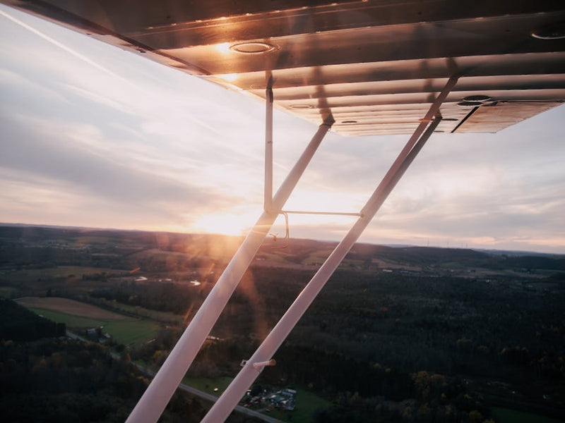 Sunset Flight