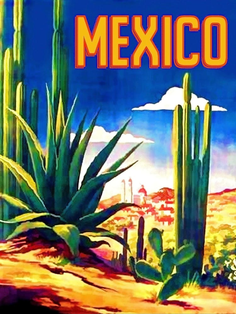 Mexico, Cactuses In The Desert