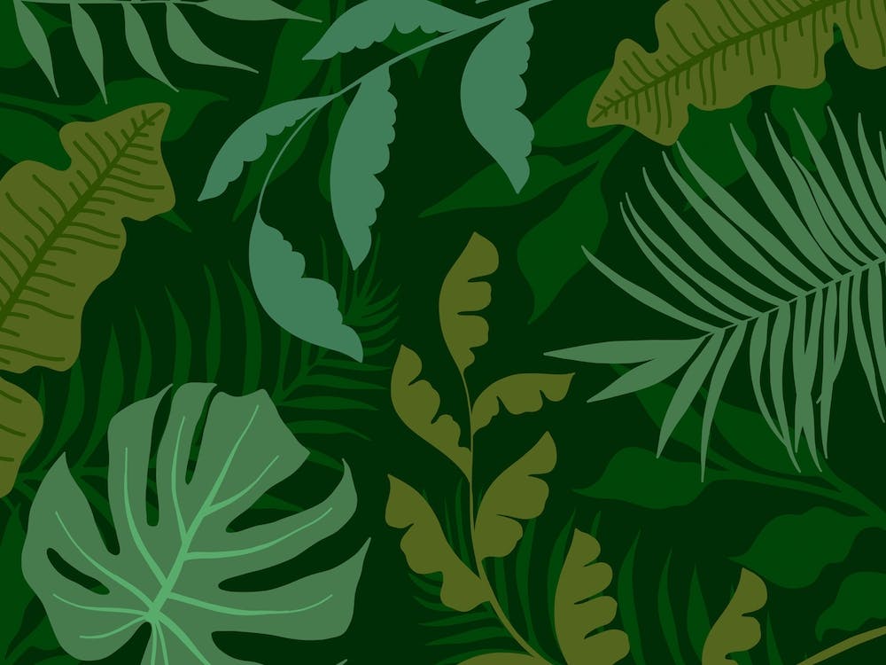 Green Jungle