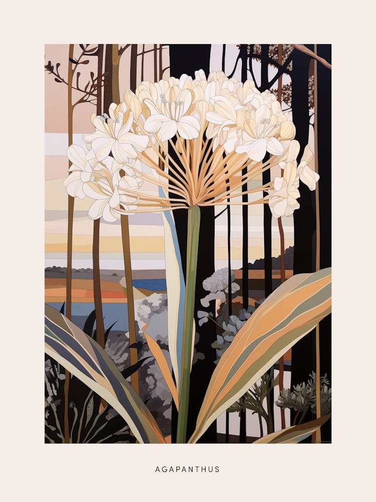 Flower Illustration Agapanthus 2 Poster