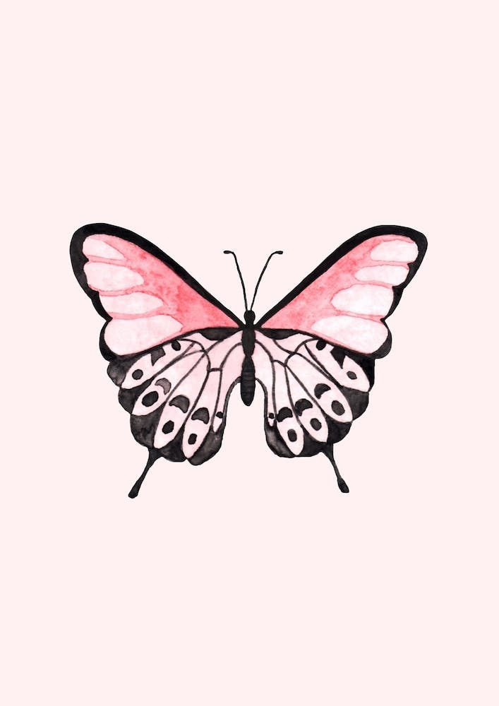 Pink Butterfly