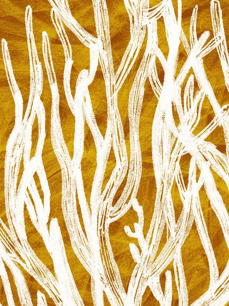 Desert Colours Collection 1