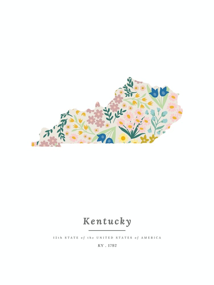 Kentucky | Wildblumen-Mix