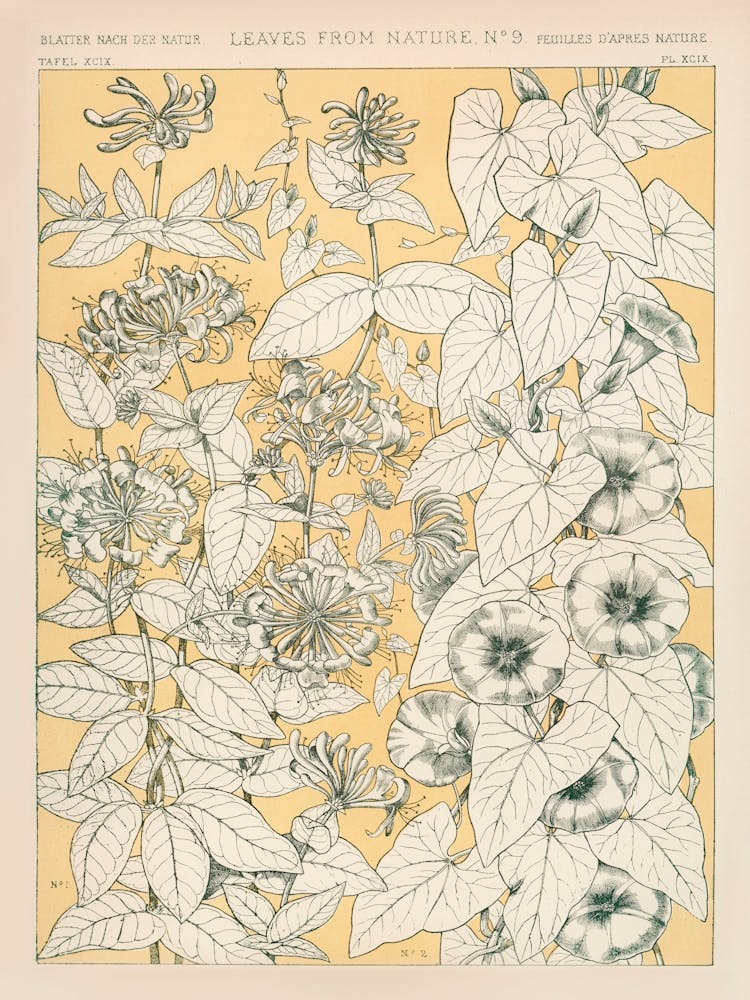 Vintage Pattern Illustration, Owen Jones