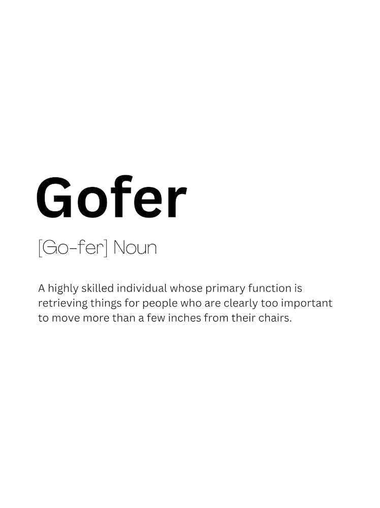 Gofer Definition Meaning 1