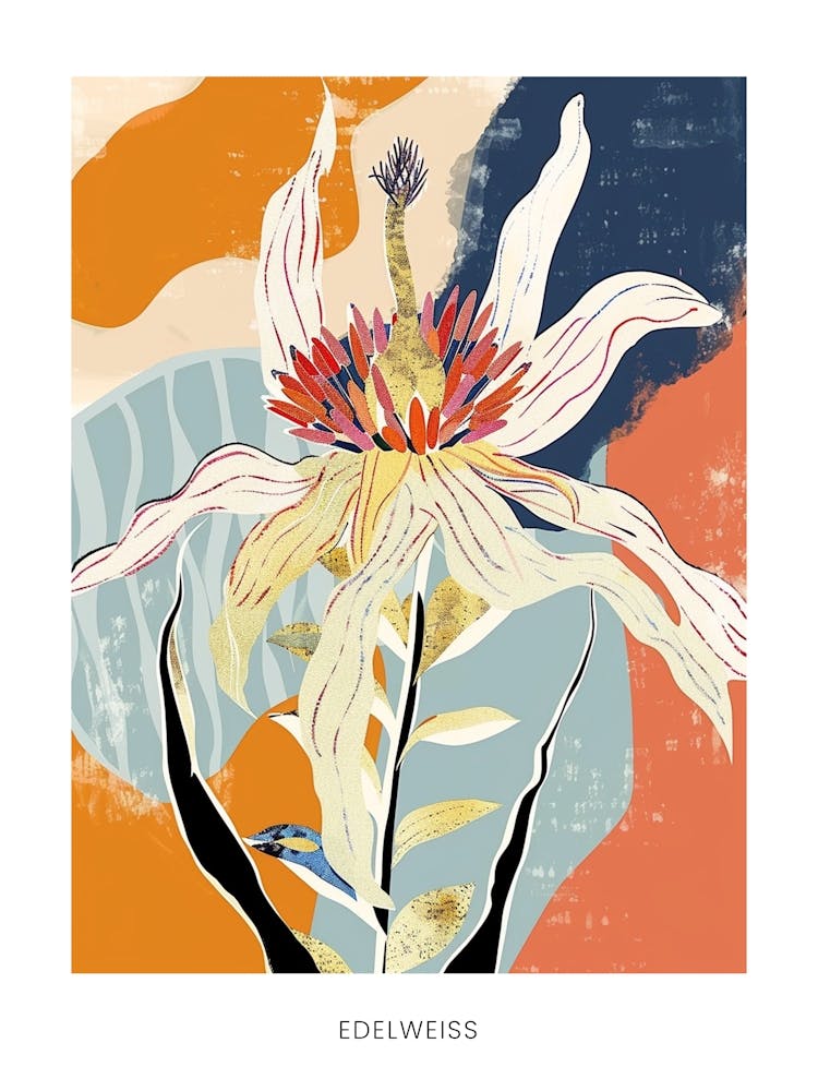 Colourful Flower Illustration Poster Edelweiss 4