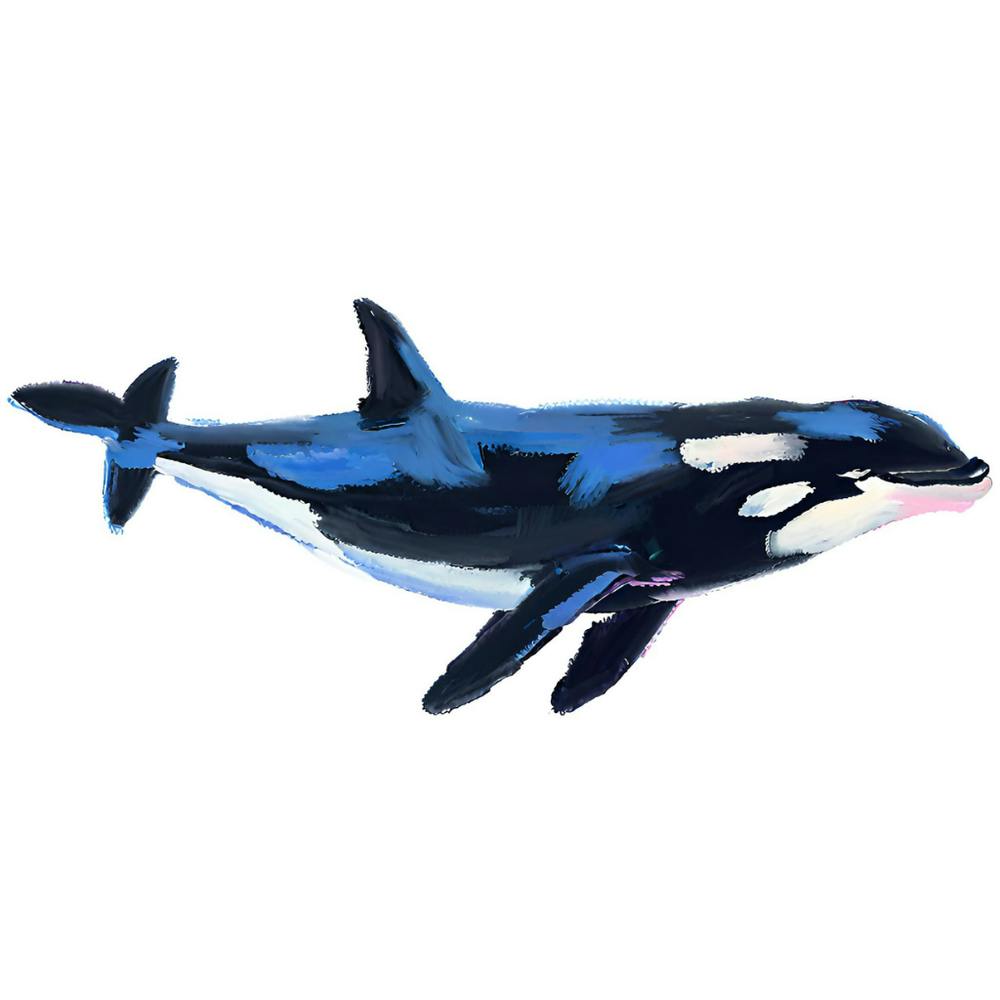 Orca Whale 02