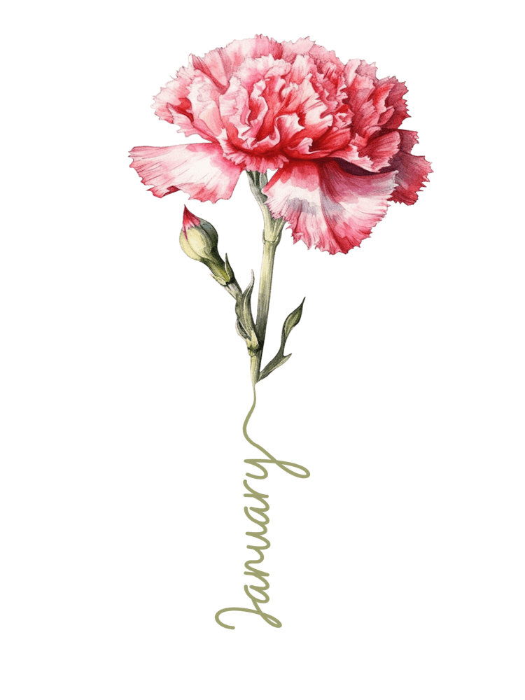 January Birth Flower Birth Month Botanical