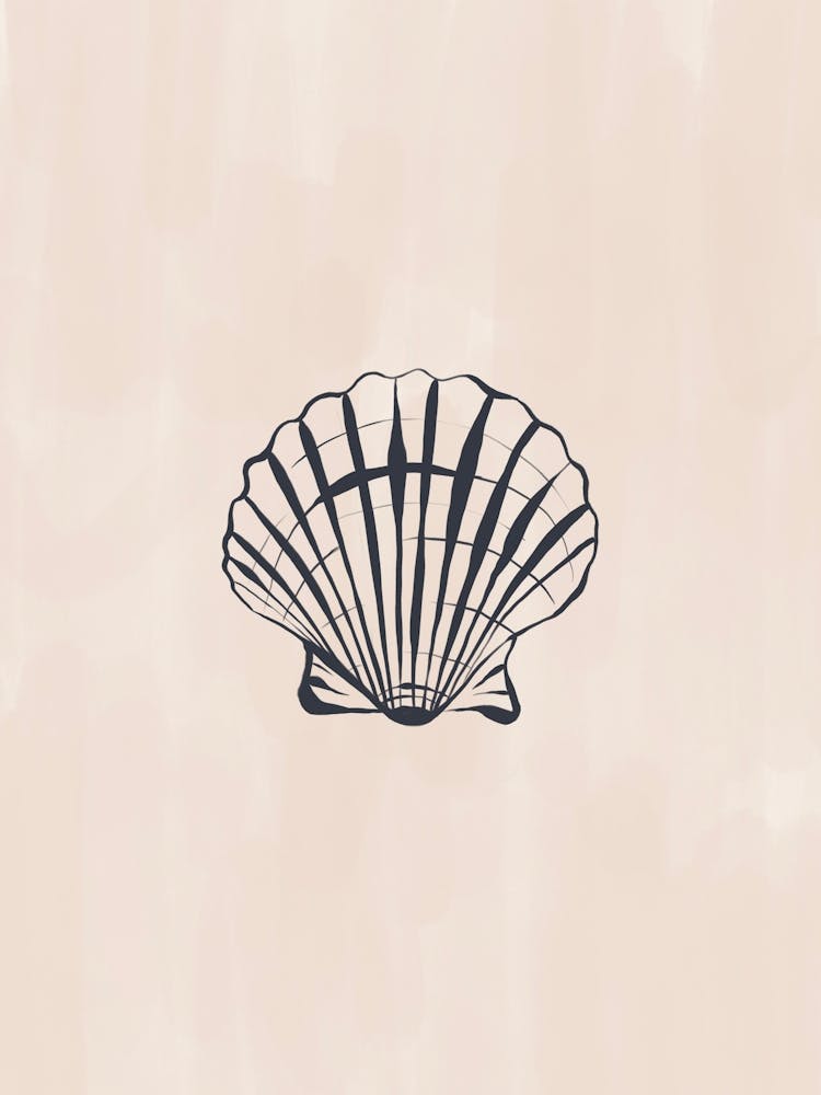 Sea Shell