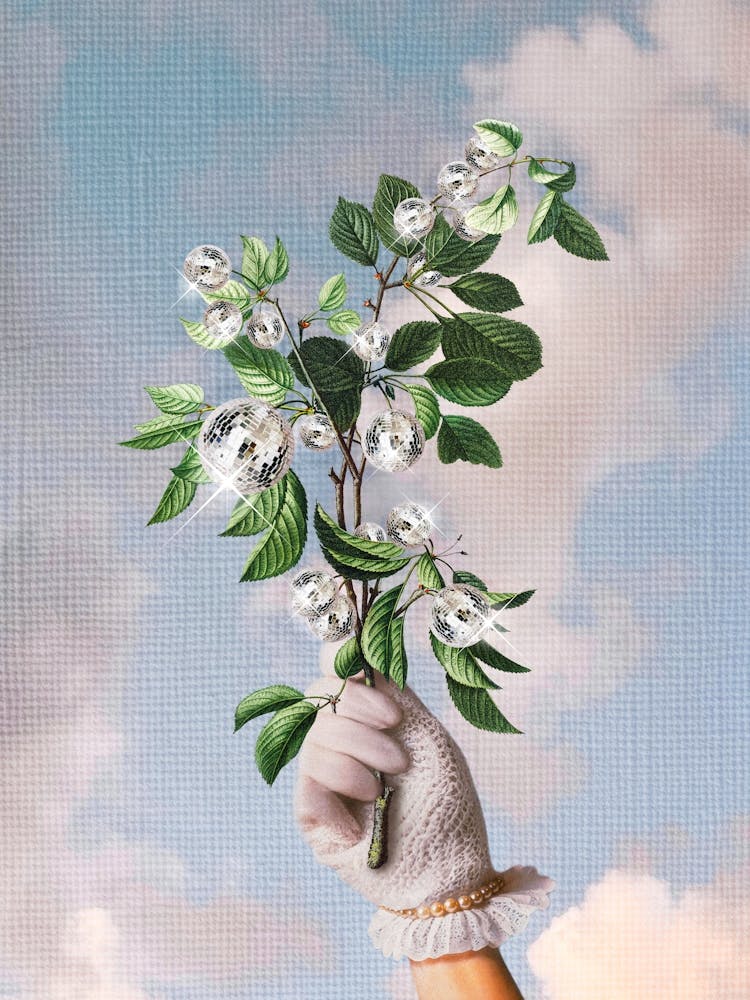 Disco Plant