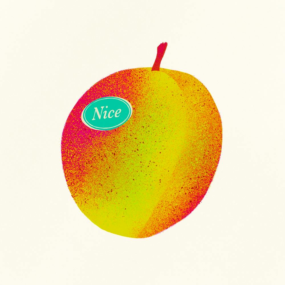 Nice Plum Square