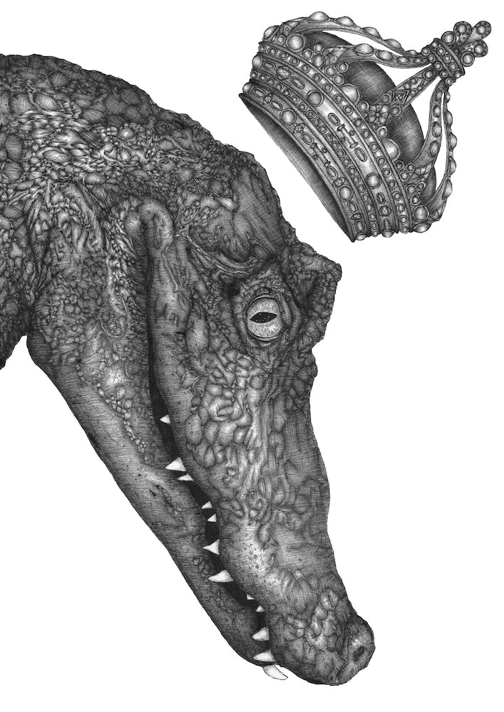 The Alligator King