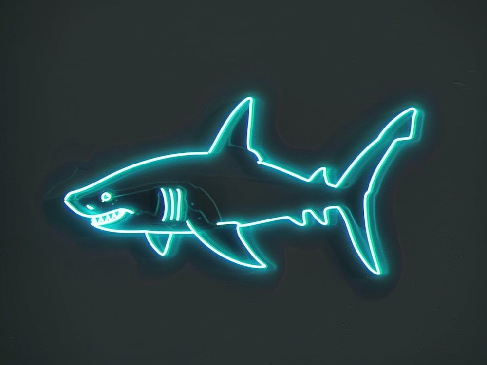Neon Sign Inspired Shark 7