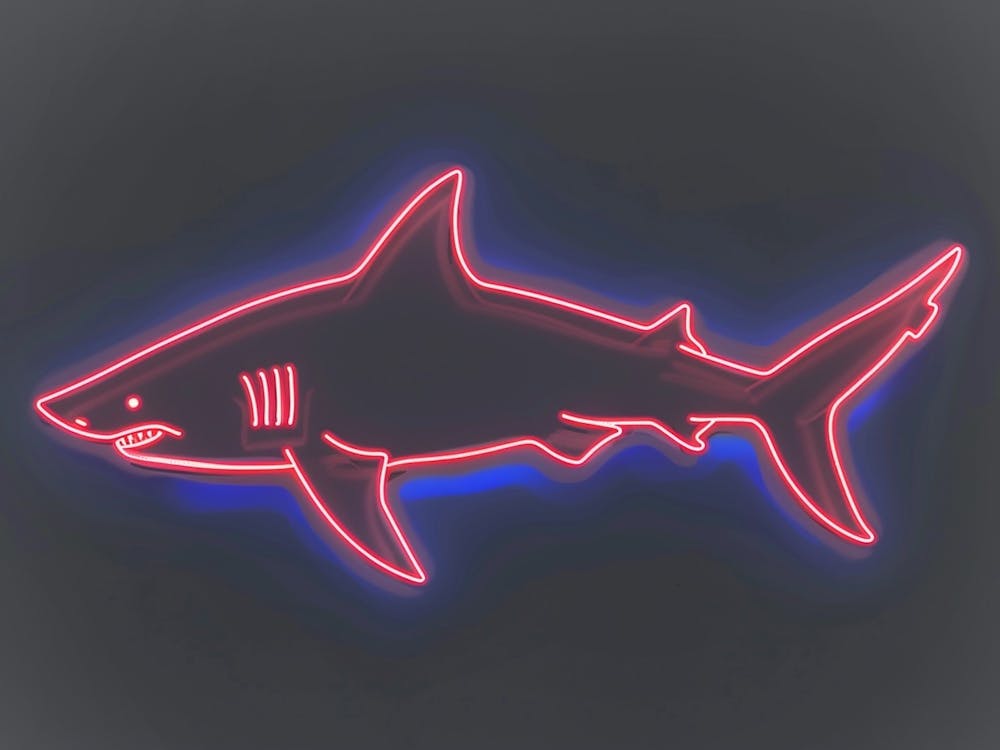 Neon Dark Red Whale Shark 3