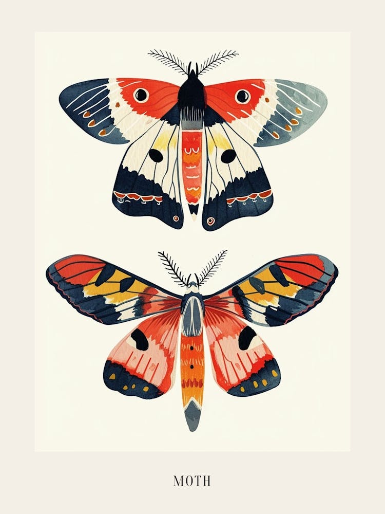 Colourful Insect Illustration Moth 37 Poster