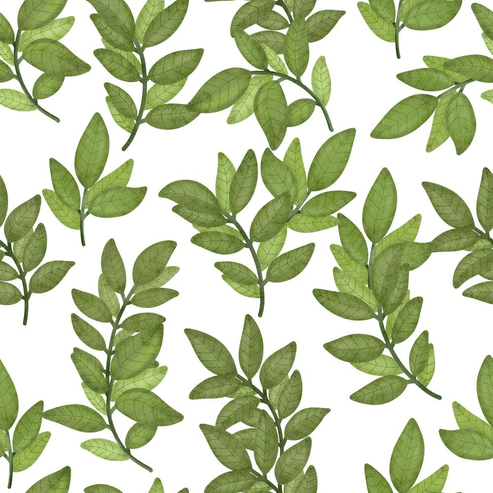 Green Leaves pattern on white background