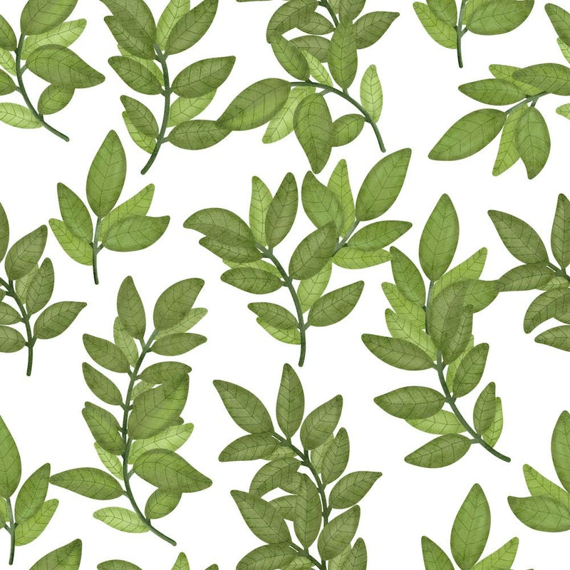 Green Leaves pattern on white background
