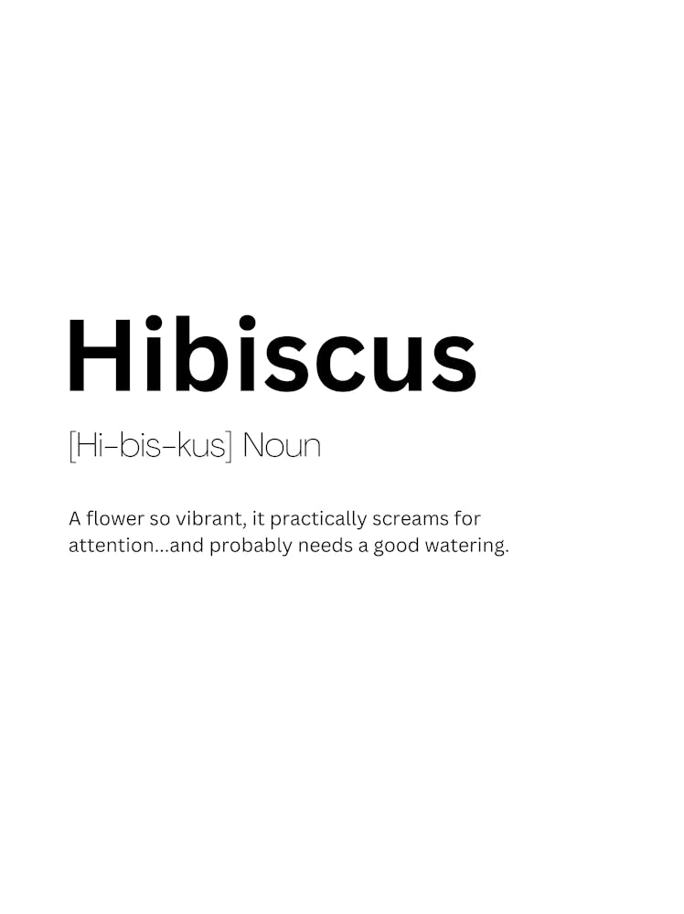 Hibiscus Definition Meaning 1