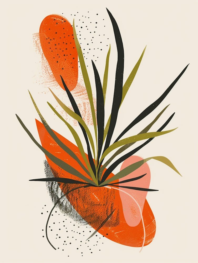 Air Plant Plant Minimalist Illustration 3