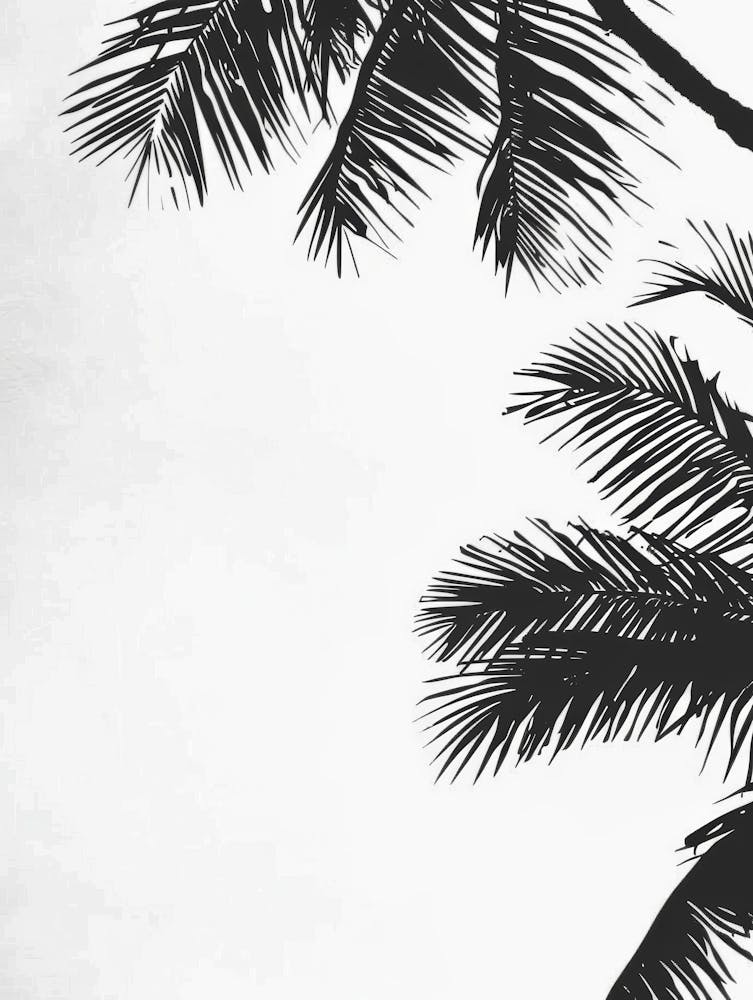 Palm Trees 79