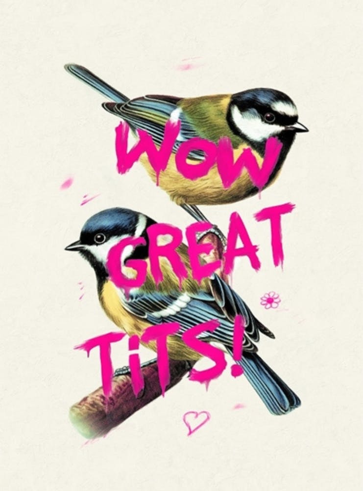 Wow Great Tits