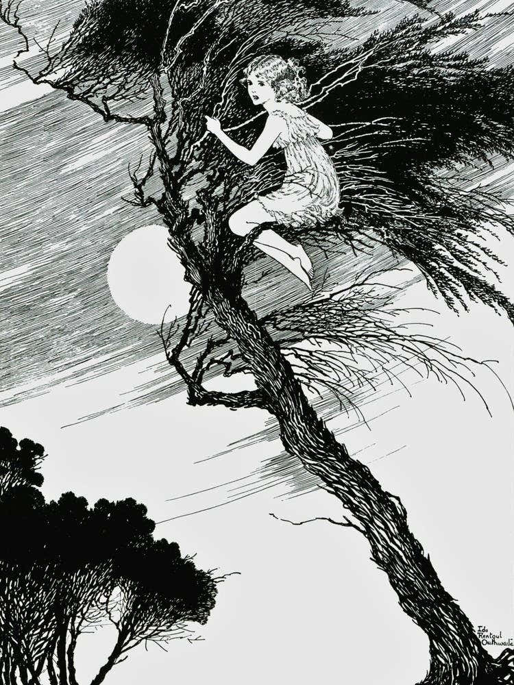 Wind in The Ti Tree - Ida Rentoul Outhwaite 1919 - Fairycore Beautiful Remastered Fairies Illustration Vintage Cottagecore Witchcore Fairy Dreamy Fairytale