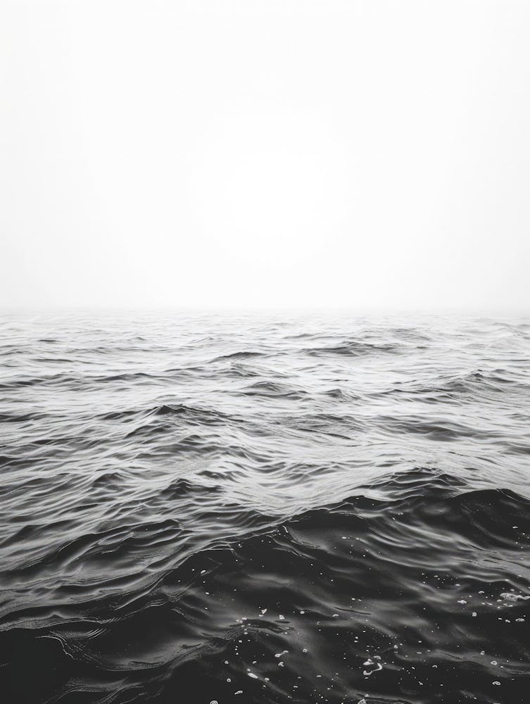 Black And White Seascape