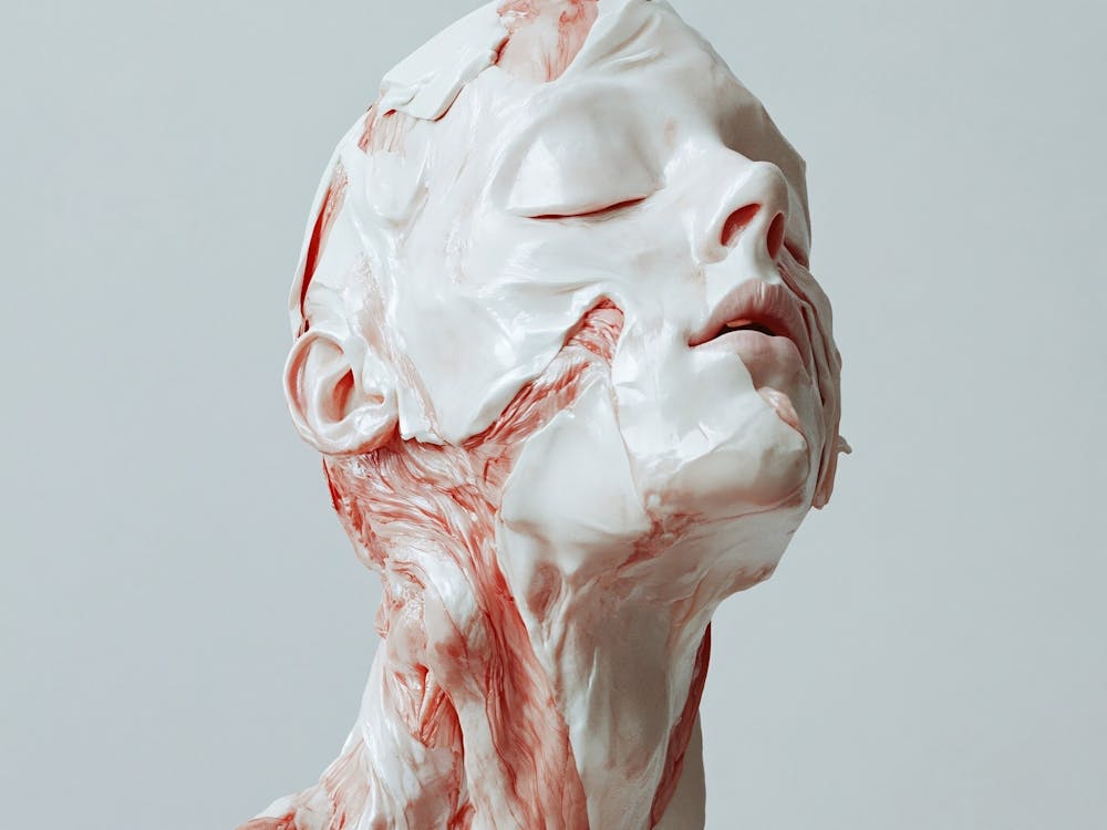 Woman'S Head 16