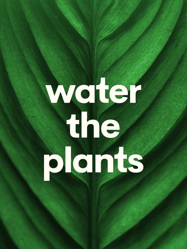 Water The Plants - Funny Quote Print