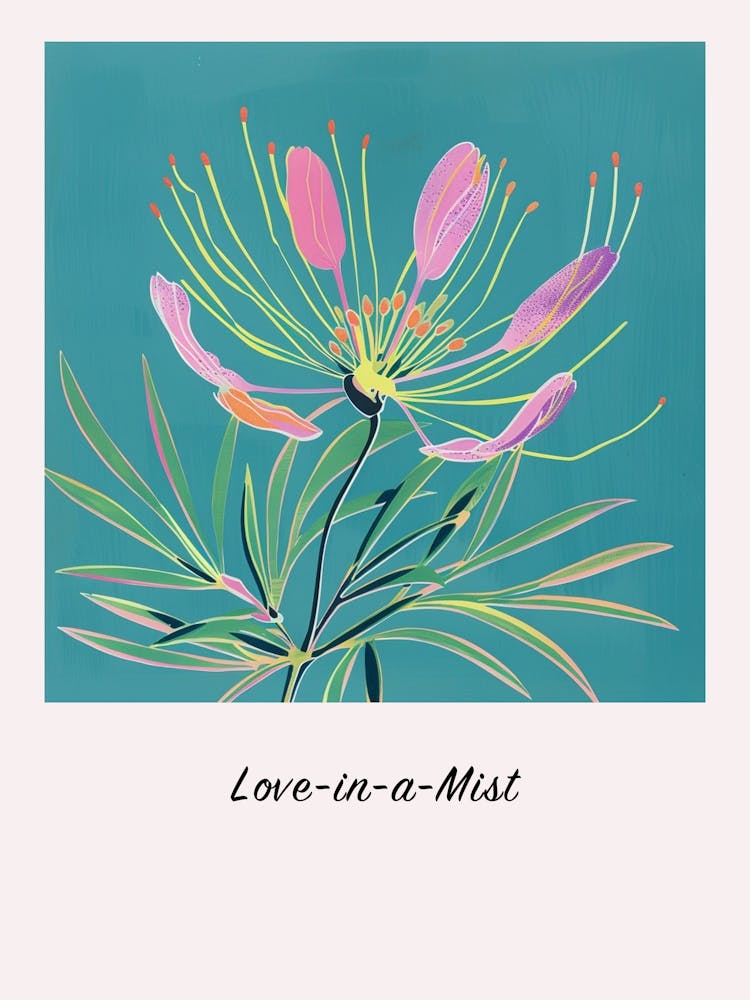 Love In A Mist 3 Square Flower Illustration Poster