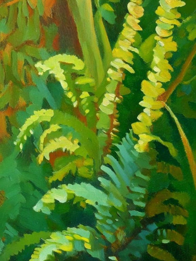 Common Horsetail Fern Cézanne Style