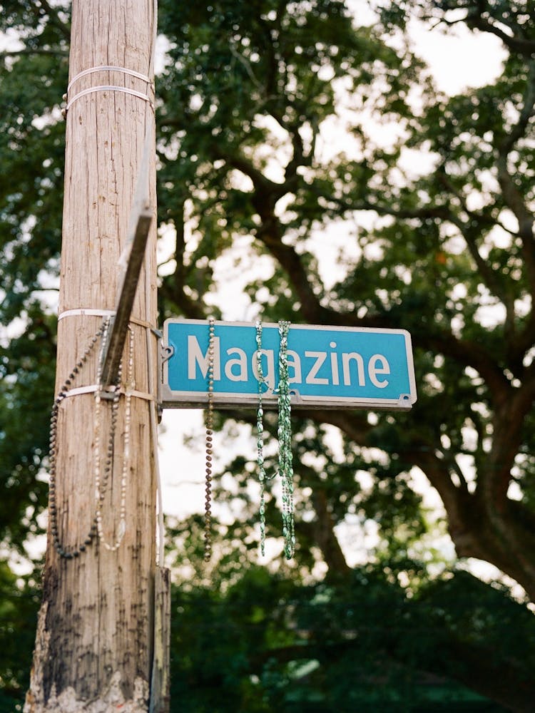 New Orleans Magazine Street II on Film