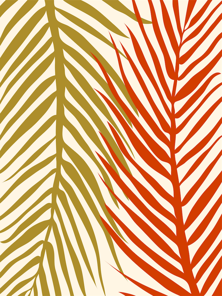 Palm Leaves Close Up