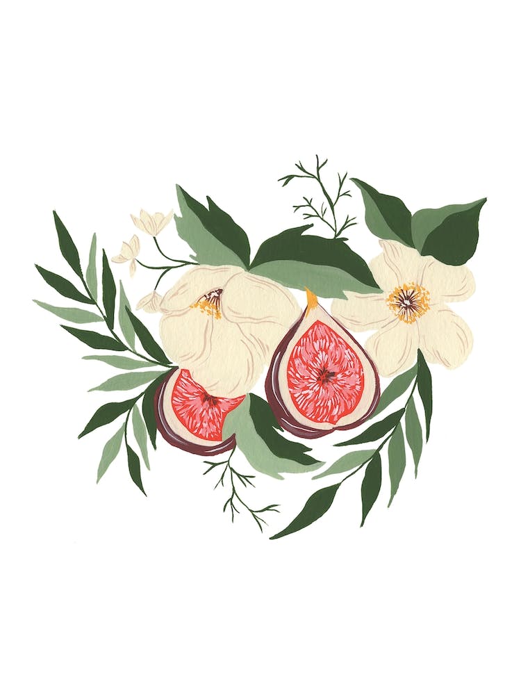 Fig