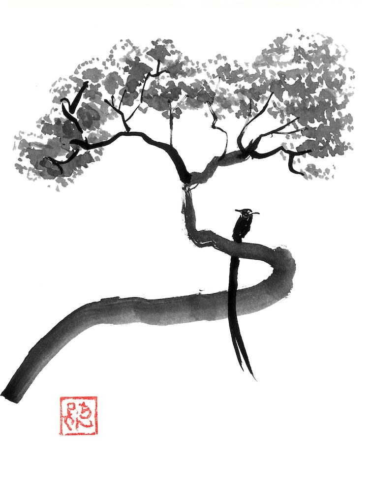 Tchitrec In Tree