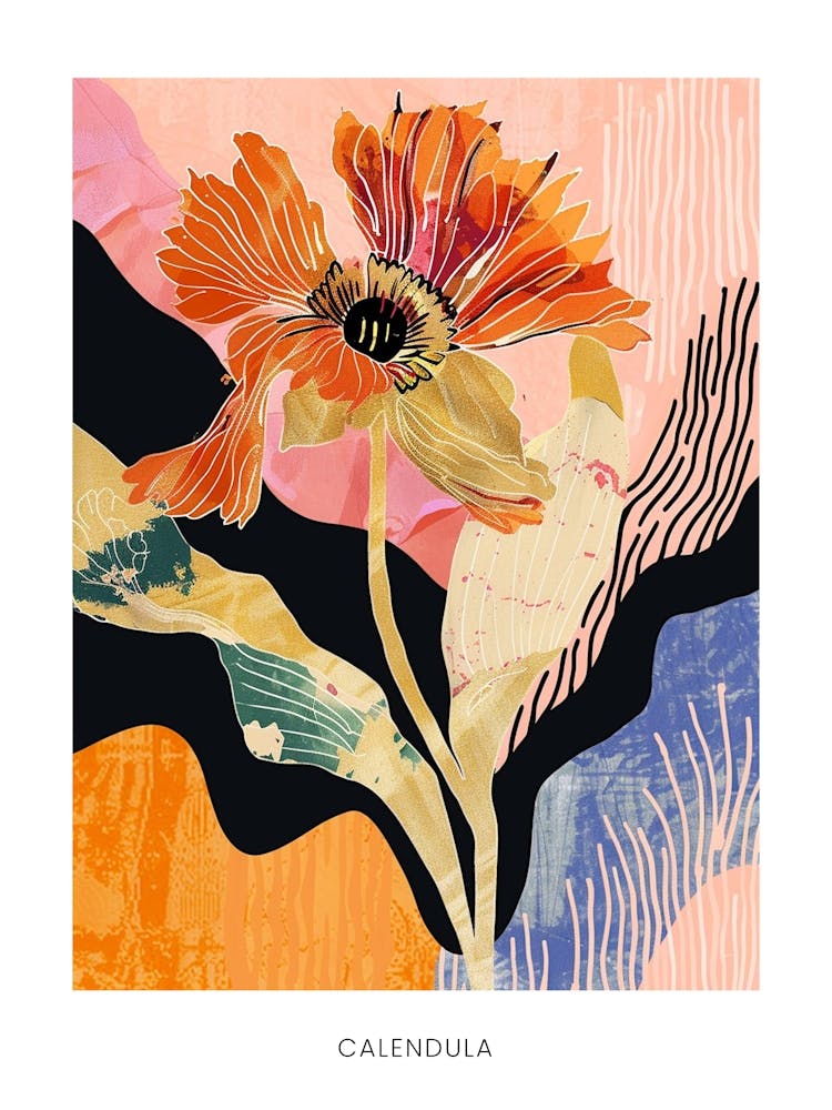 Colourful Flower Illustration Poster Calendula 2