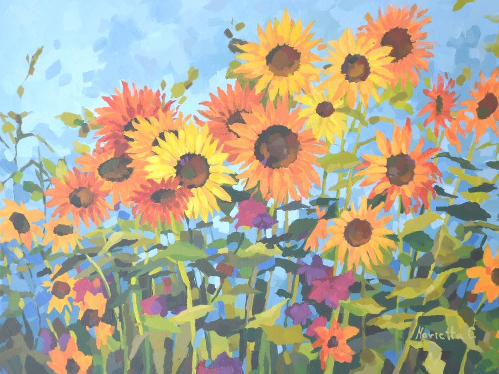Sunflower Filed2