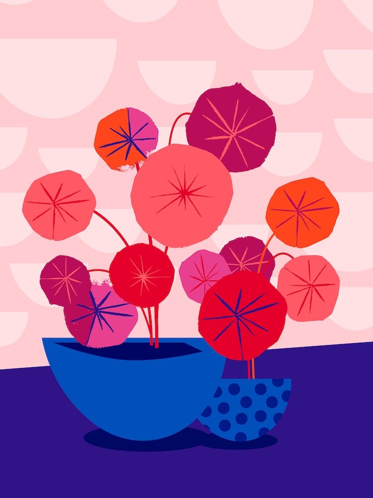 Pileas In Red And Pink