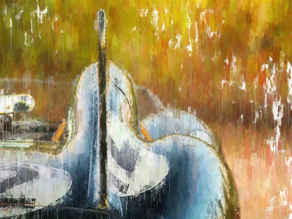 D Type Fin