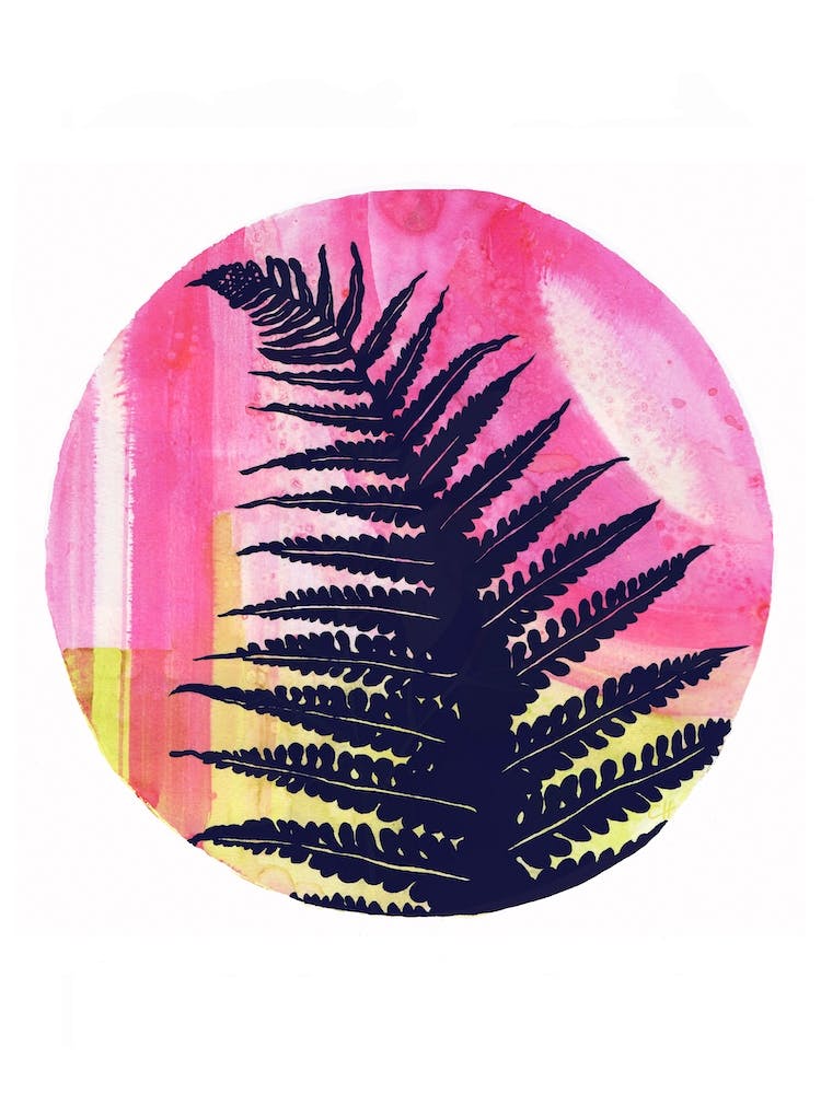 Fern On Pink And Lime