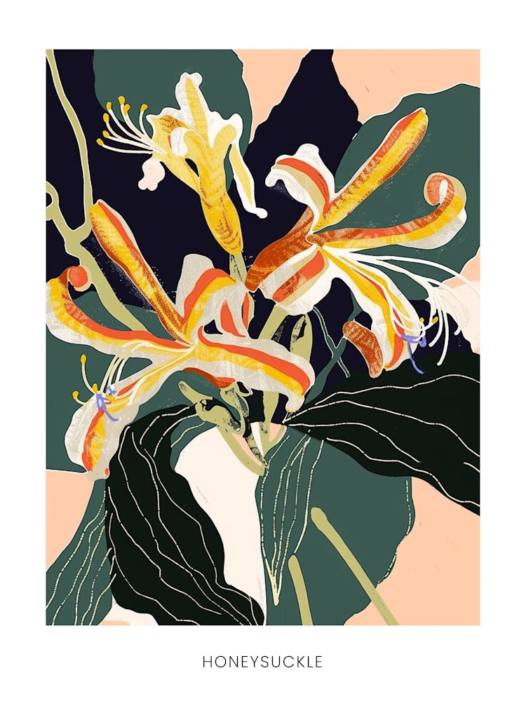 Colourful Flower Illustration Poster Honeysuckle 3