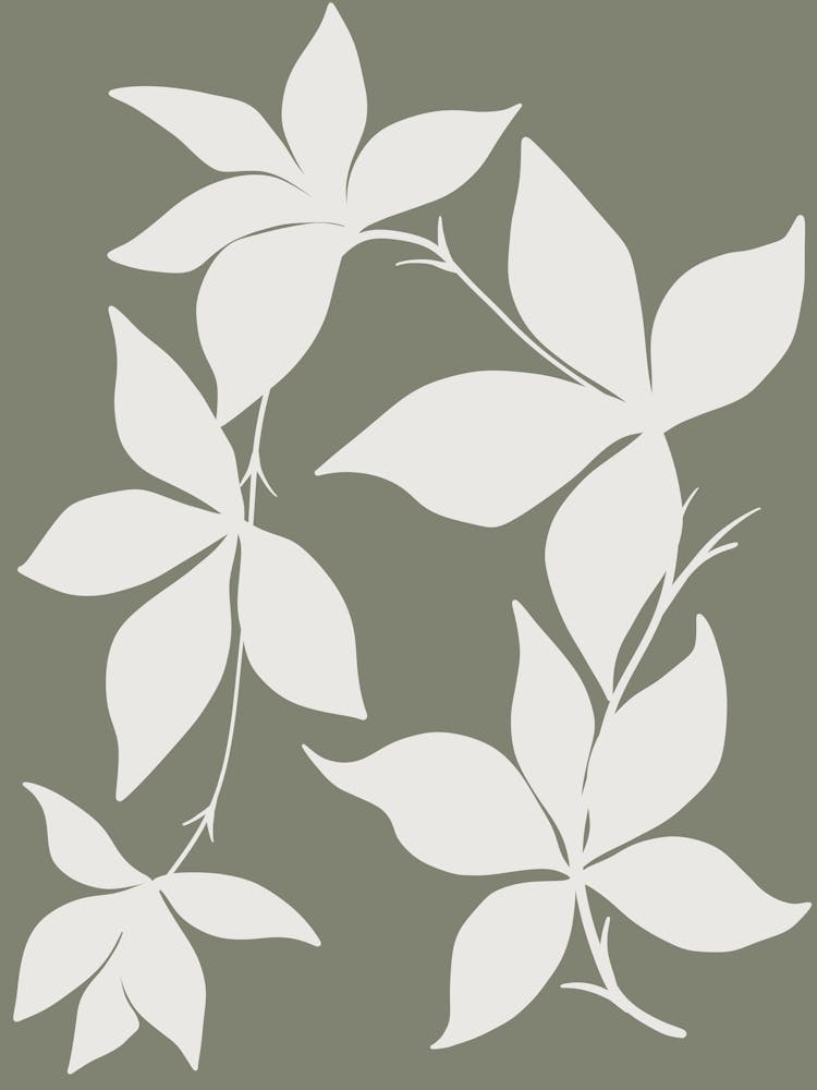 White Ivy