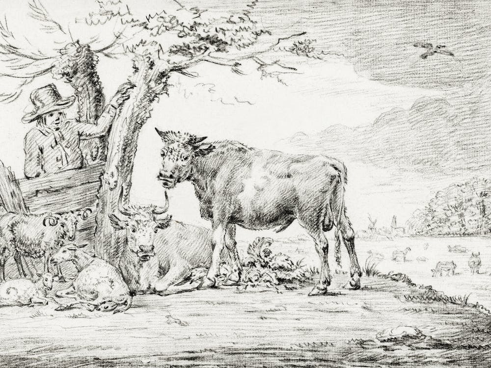 Farmer Standing At A Fence With Cattle, Jean Bernard