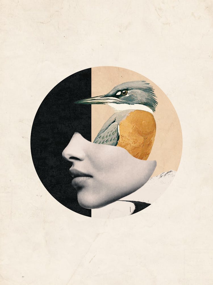 Collage Art Bird 2