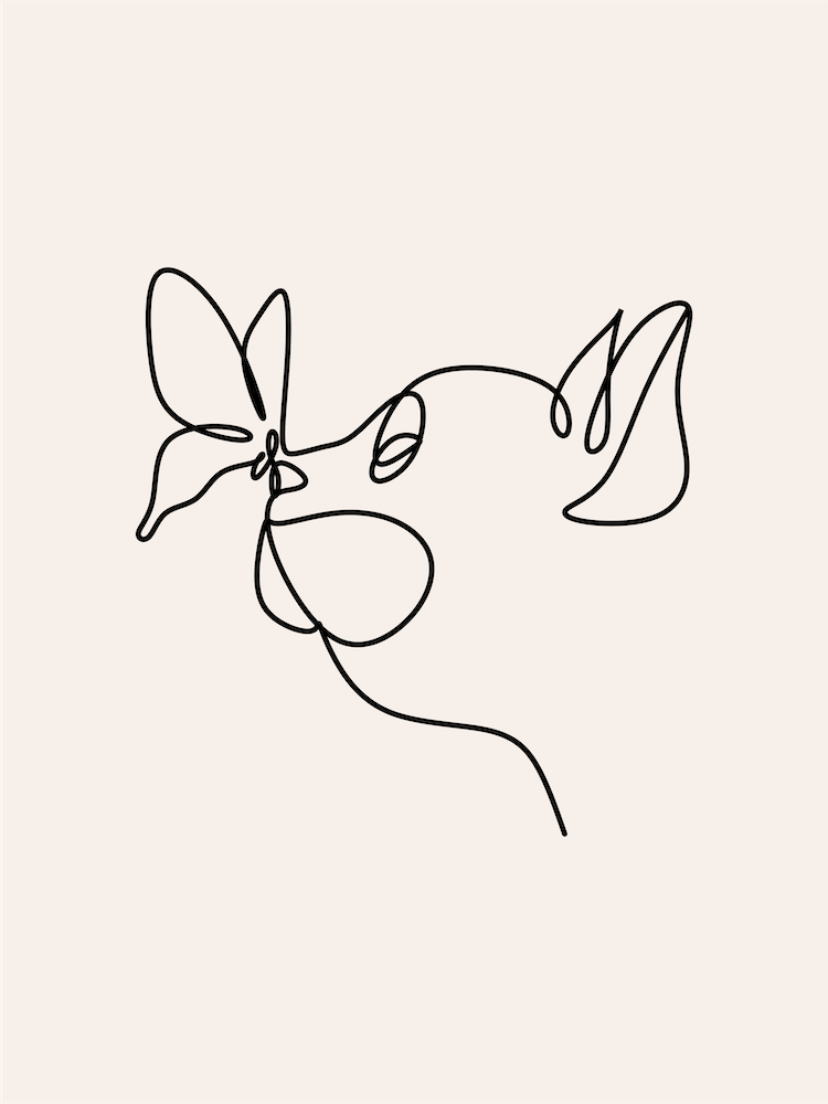 Cat with Butterfly Line Art