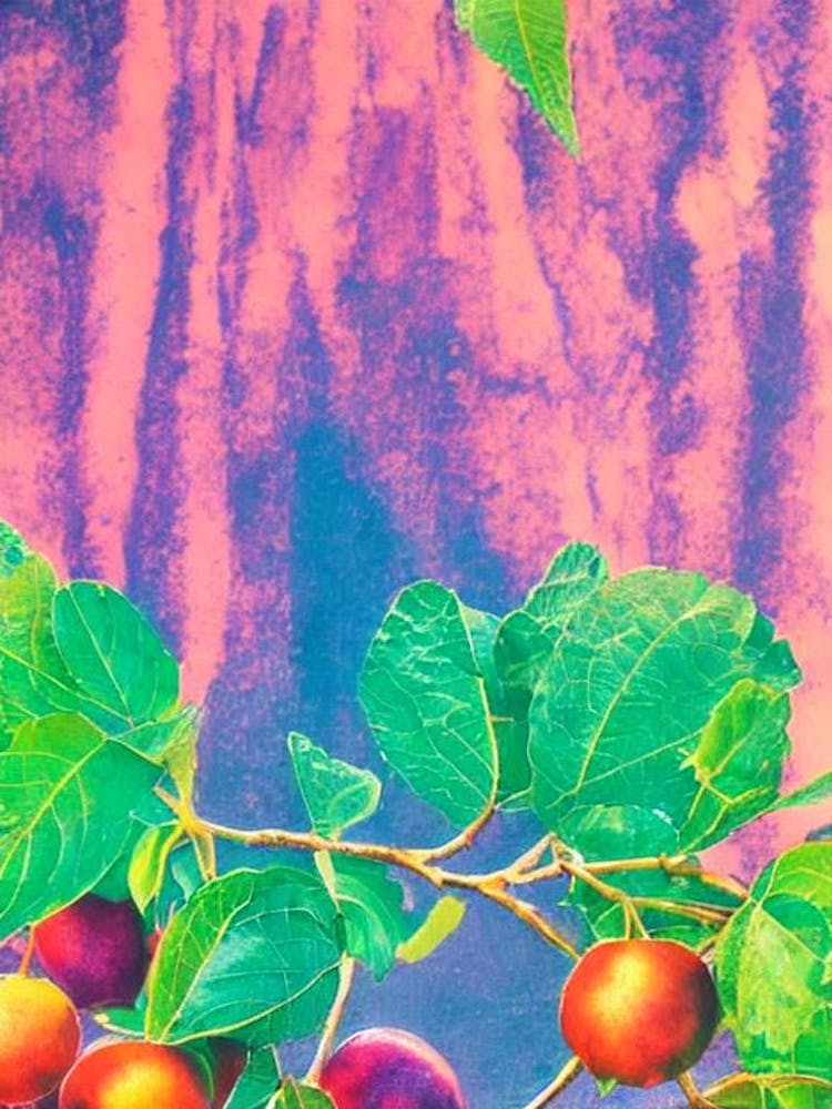 Golden Berry Risograph Retro Poster Fruit